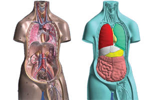 3D Scanner for Medical Digital Assembly Analysis